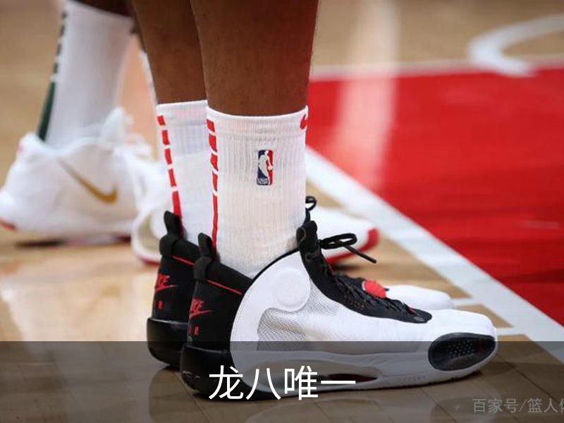 龙八唯一简介